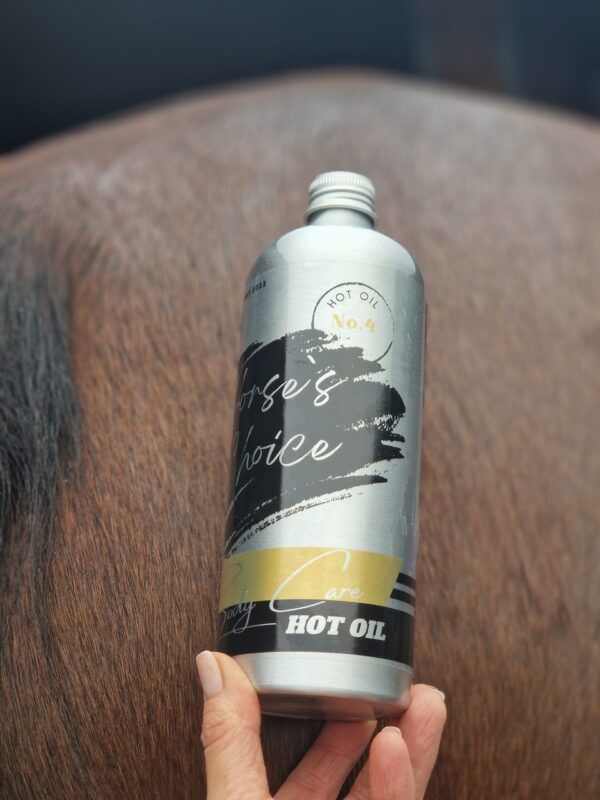 Hot Oil Horse`s Choice