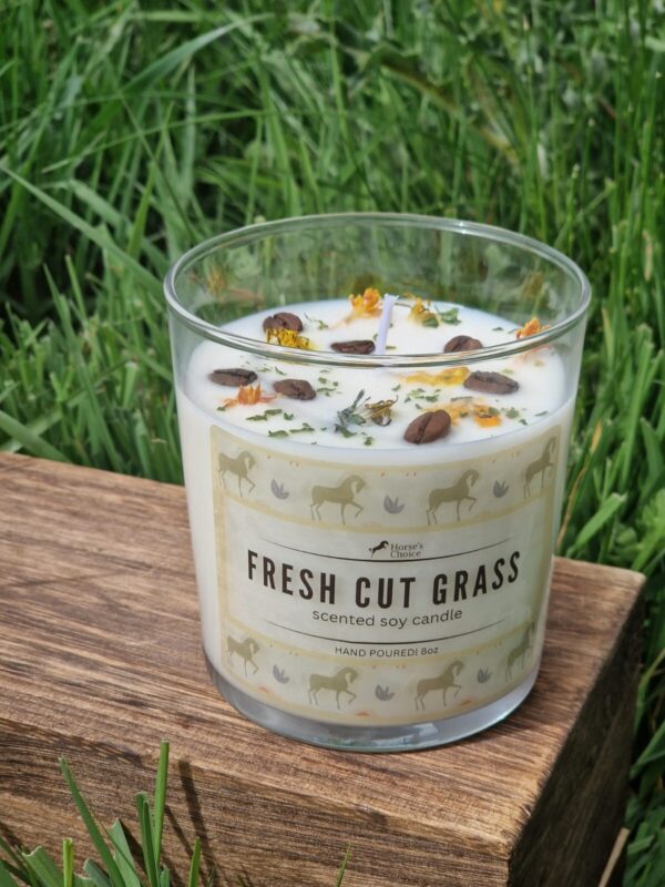 Stable Scent Candles